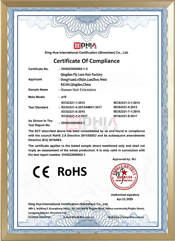 Clip in Extensions Remy Human Hair